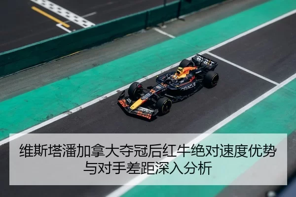 wei-si-ta-pan-jia-na-da-duo-guan-hou-hong-niu-jue-dui-su-du-you-shi-yu-dui-shou-cha-ju-shen-ru-fen-xi-2-530.jpg